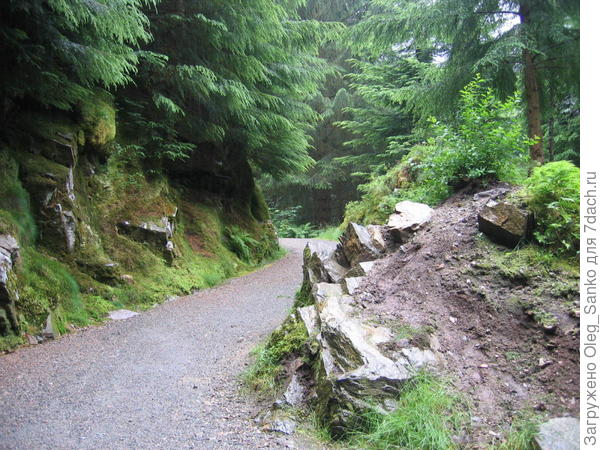 Образцовая с точки зрения экологии тропинка