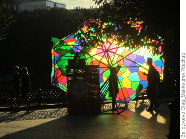 Иногда удается сделать снимок и в контровом свете