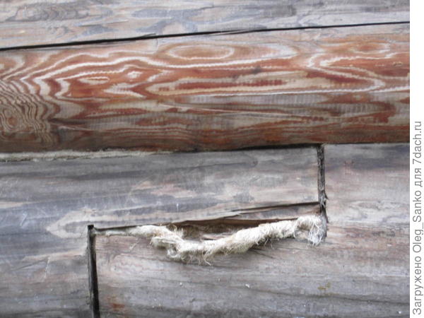 Тут видна работа птиц