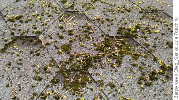 Гибкая черепица