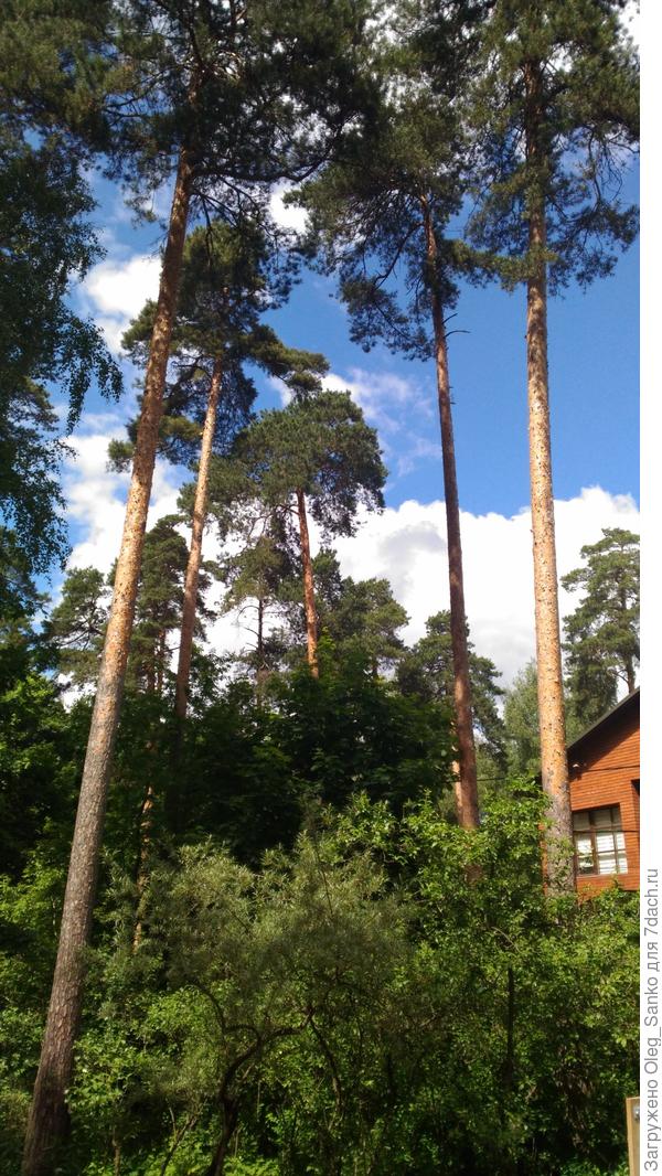 Район Ильинское-Быково.