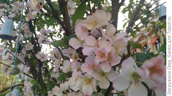 Цветы искусственные