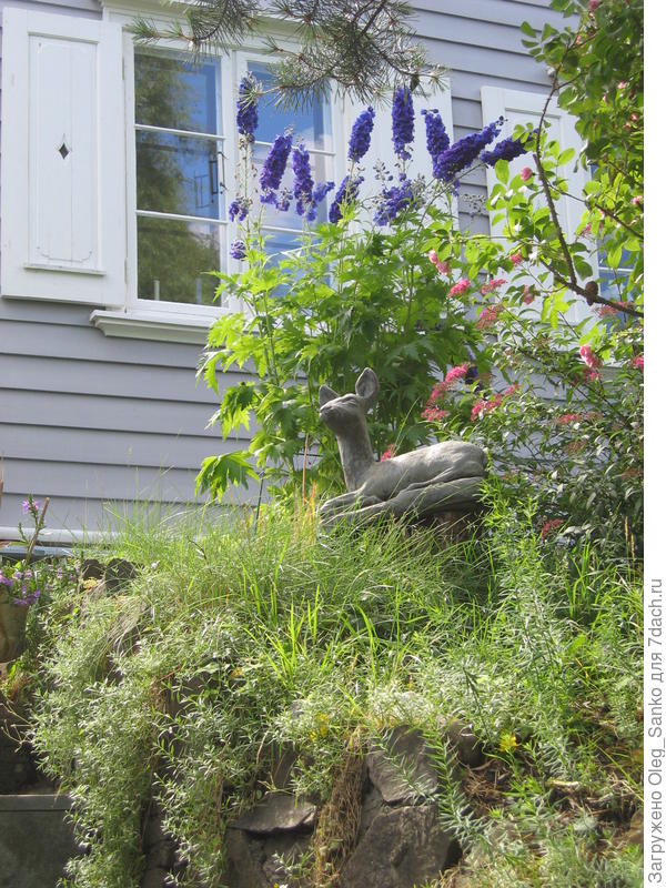 Аскетичная облицовка