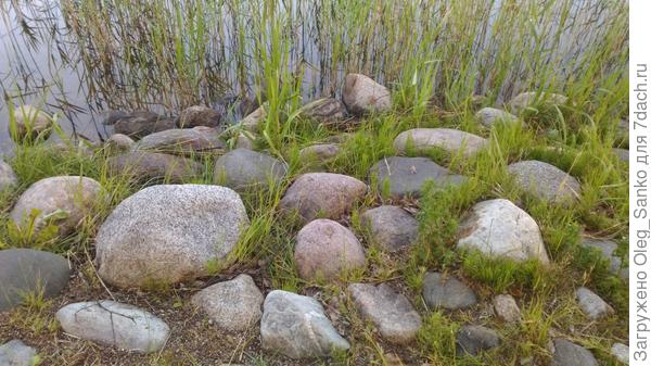 Облицовка берега водоема