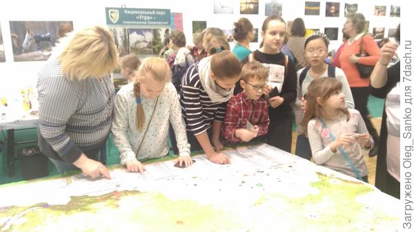 Изучение  орнитологической карты РОДИНЫ