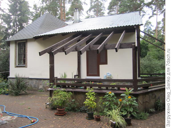 Каркасник нетипичный, монументальный