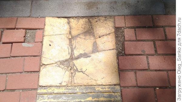 Плитка растрескалась, не выдержав погодных условий.