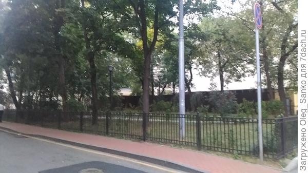 Парадный вид