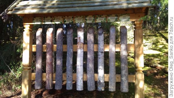 Чаще встречающиеся типы древесины в средней полосе России.