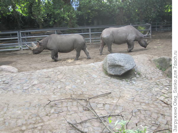 Полная симметрия