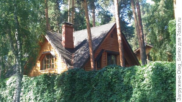 Дои облицован блок-хаусом