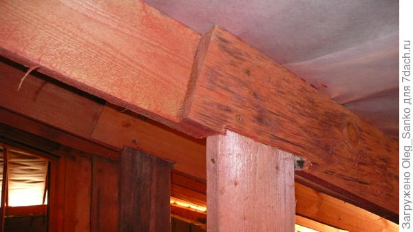 Синева древесины