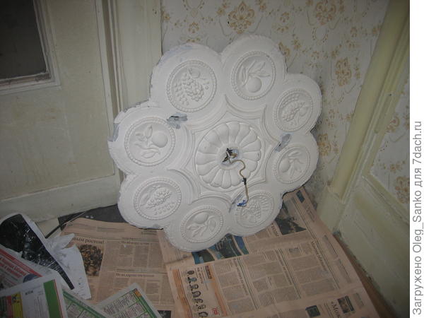 Еще месяц ромашка украшала угол коридора