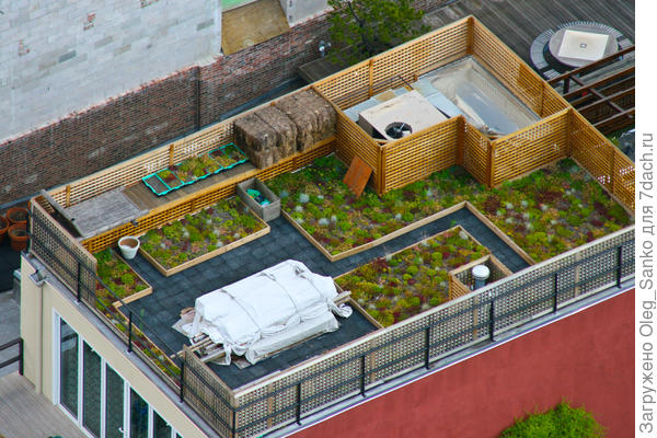 Плоская крыша - вся в ящичной зелени.
