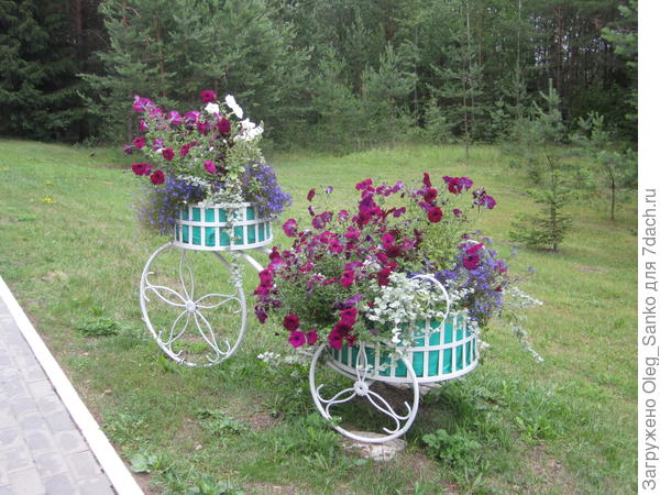 Велосипед в цветах