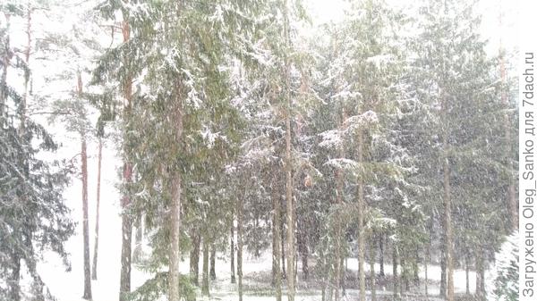 Снегопад в ваших краях