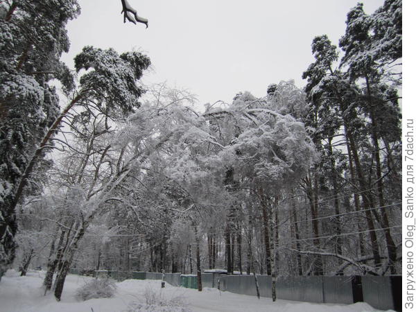 01 января 2011