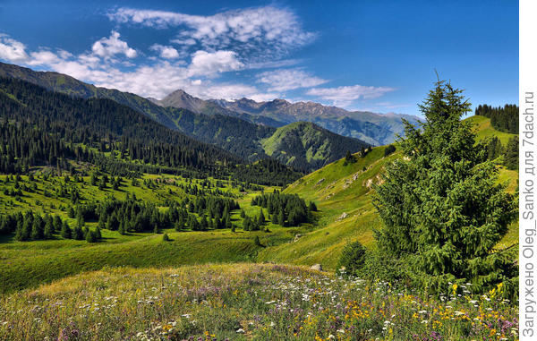 Соседний с вами склон