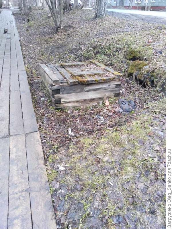 Дренажный колодец