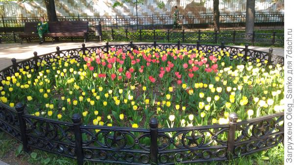 Все та же клумба, версия 2021