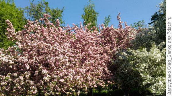 Место паломничества местных жителей