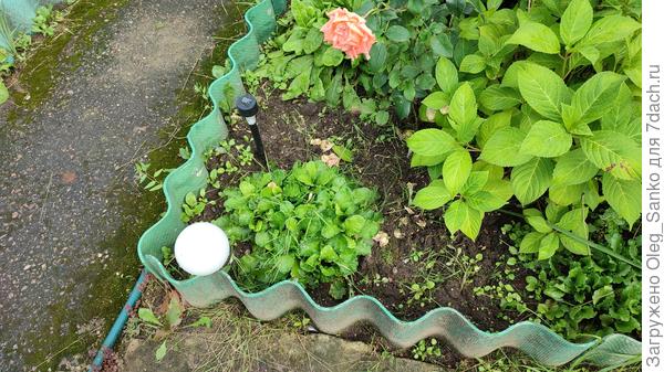 Оформление грядки.