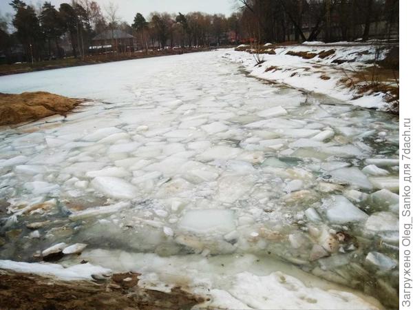 Быковский пруд в начале апреля 2022 года