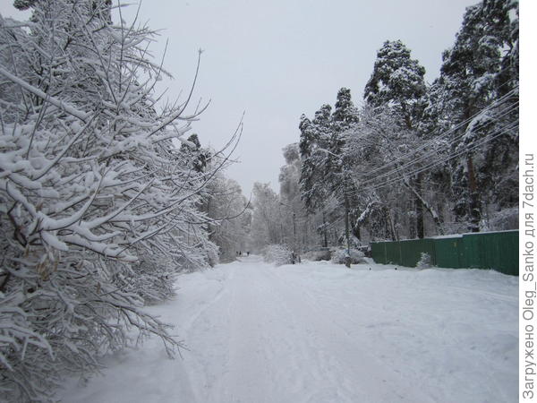 Подмосковье, новый год 2010