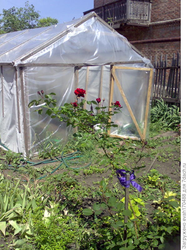 фото 10-летней давности