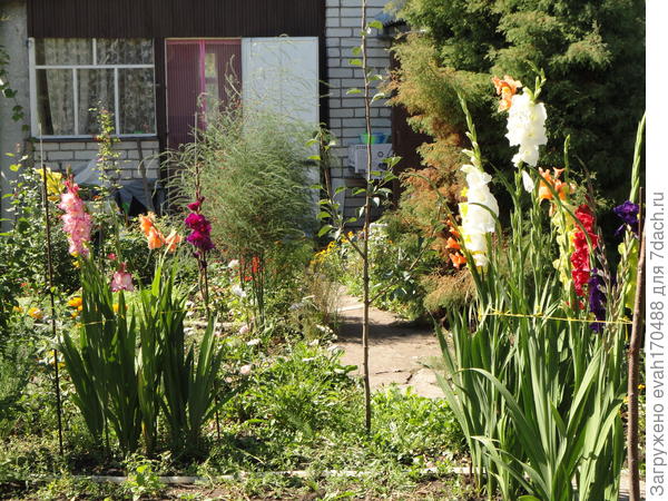 мой первый опыт