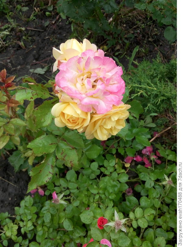 ...и душе твоей покоя и тепла...