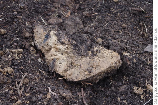 Земля до обработки.