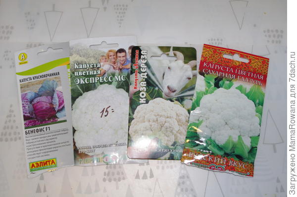 Капустки