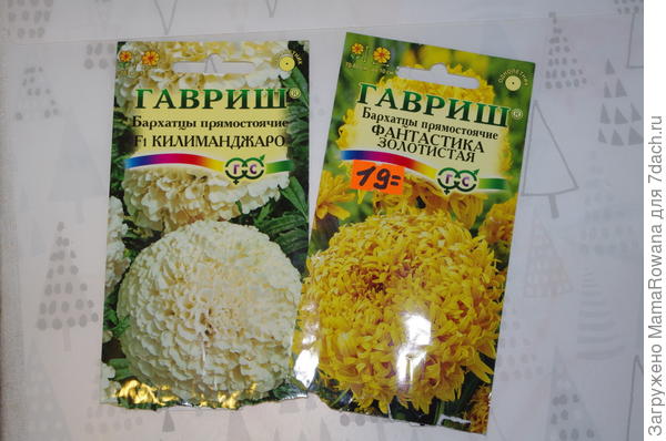 Бархоточки
