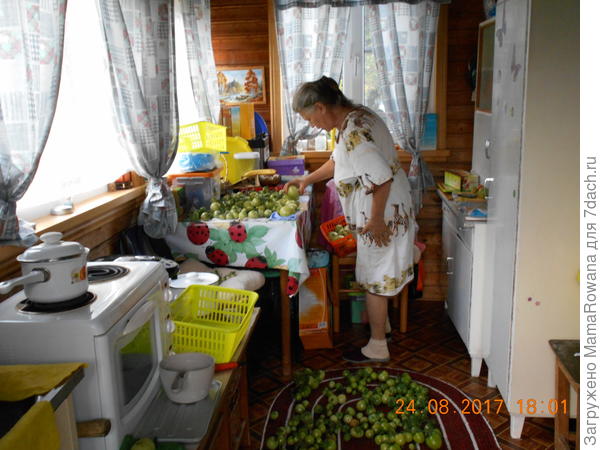 Вот и все помидорки. =(((
