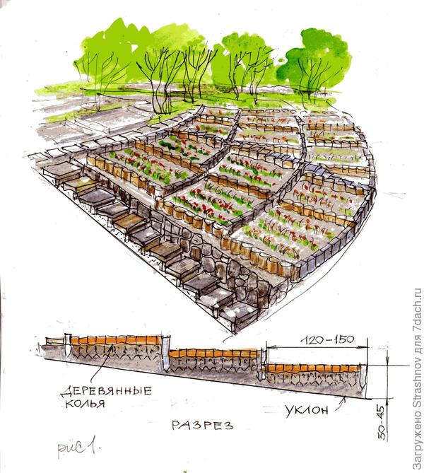 Обустройство грядок на участках с неплодородной почвой