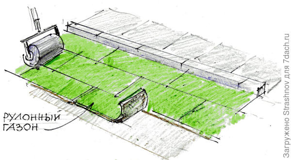 укладка рулонного газона