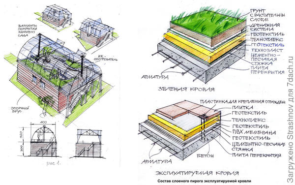 сад на гараже