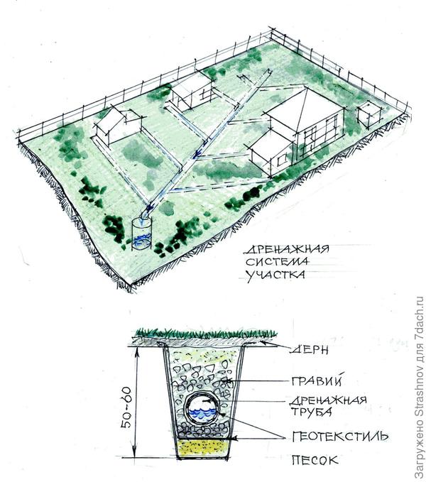 Система участки. Схема дренажной системы на участке 12 соток. План дренажа участка 10 соток. Схема дренажа земельного участка. Схема дренажа на участке 6 соток.
