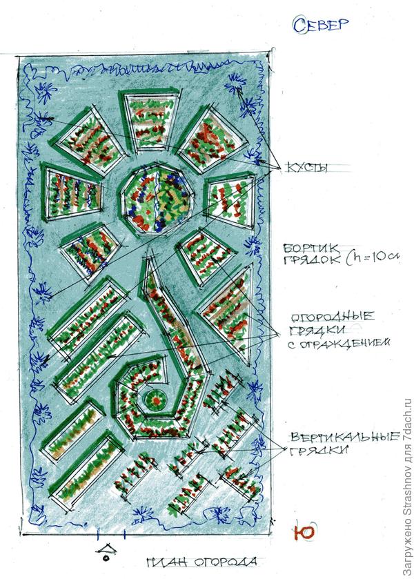 схема декоративного огорода