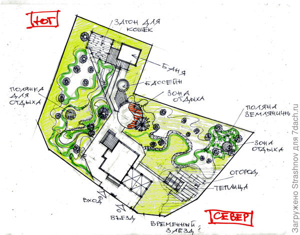 эскизное решение участка с лесным массивом
