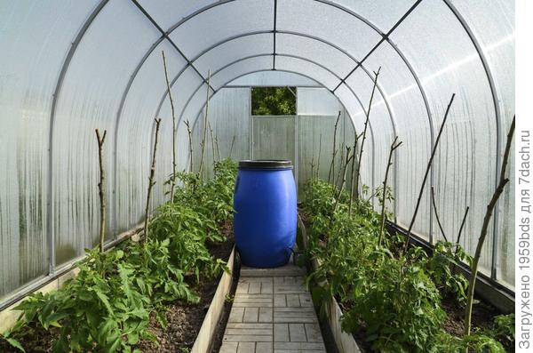 Теплица из поликарбоната с каркасом из квадратной трубы.