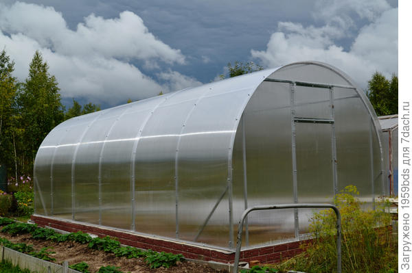 Теплица из поликарбоната с каркасом из квадратной трубы.