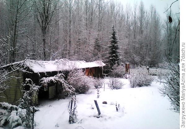 участок в снегу