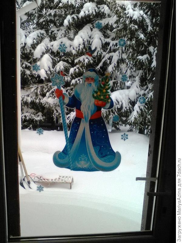 такой вот вид из дома на елки