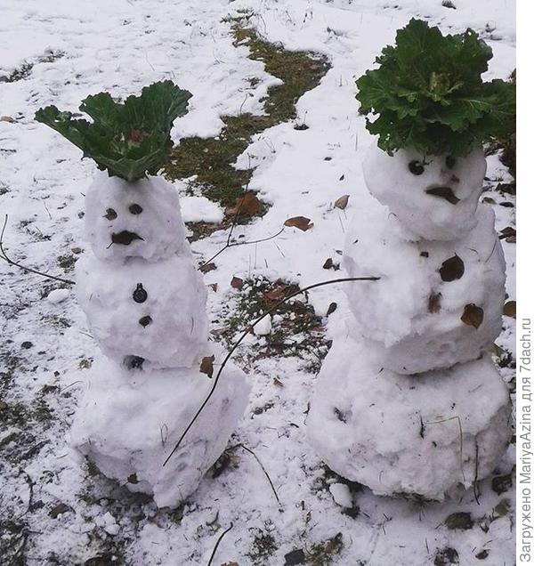 и снова снеговики