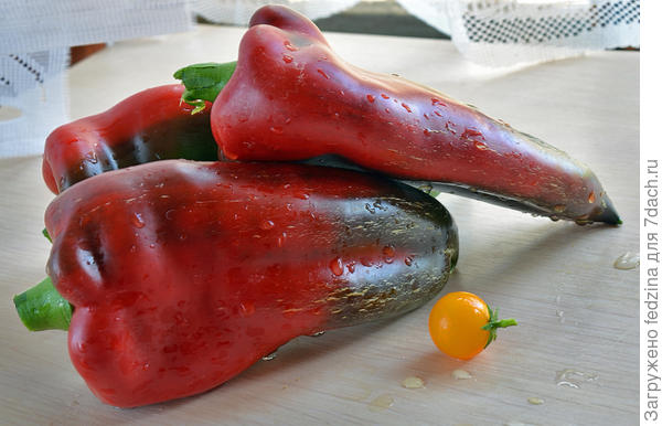 Воловье Ухо