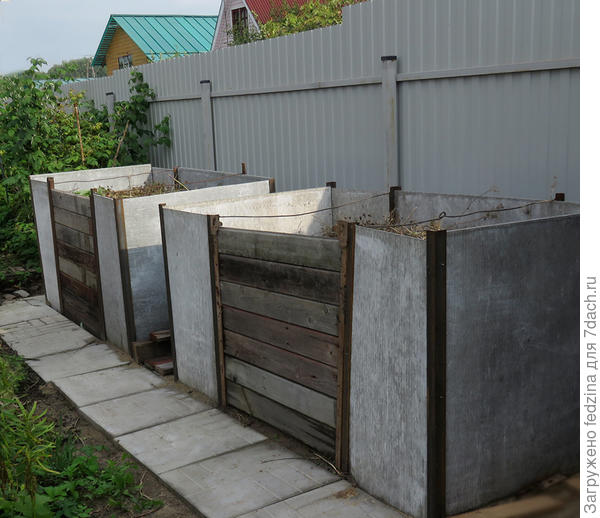 Помойки на том месте, где росло Солидаго