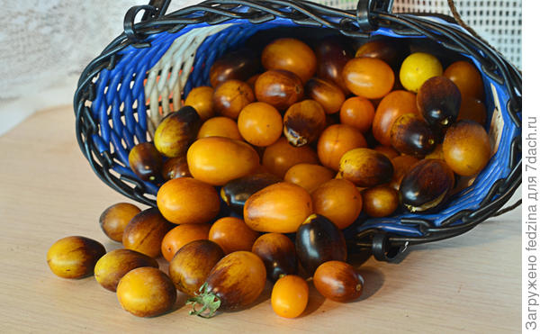 Сливовая капля