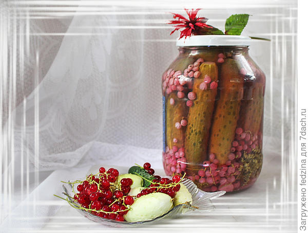 Огурцы с красной смородиной: